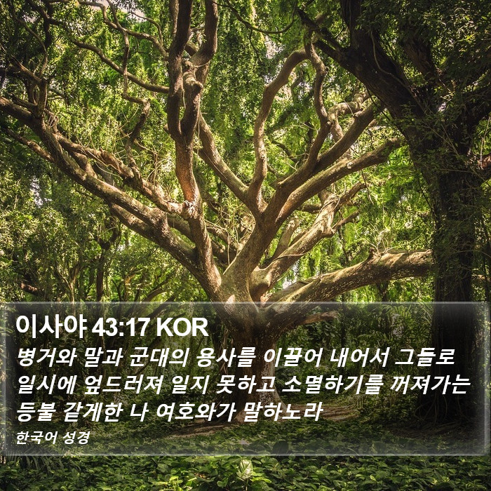 이사야 43:17 KOR Bible Study