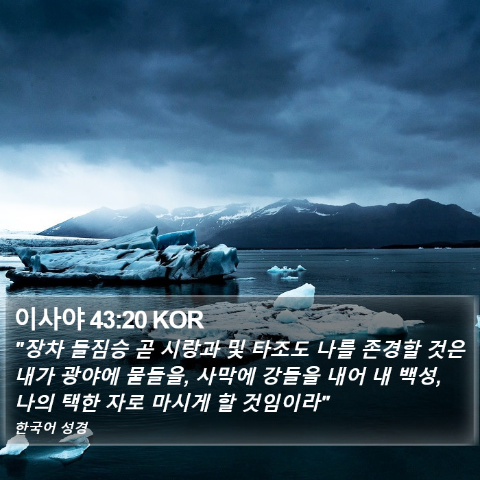 이사야 43:20 KOR Bible Study