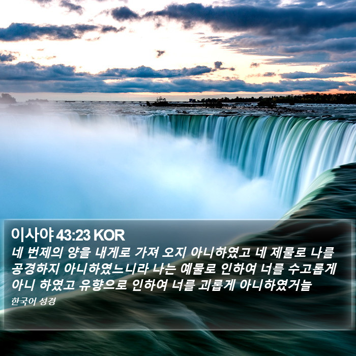 이사야 43:23 KOR Bible Study