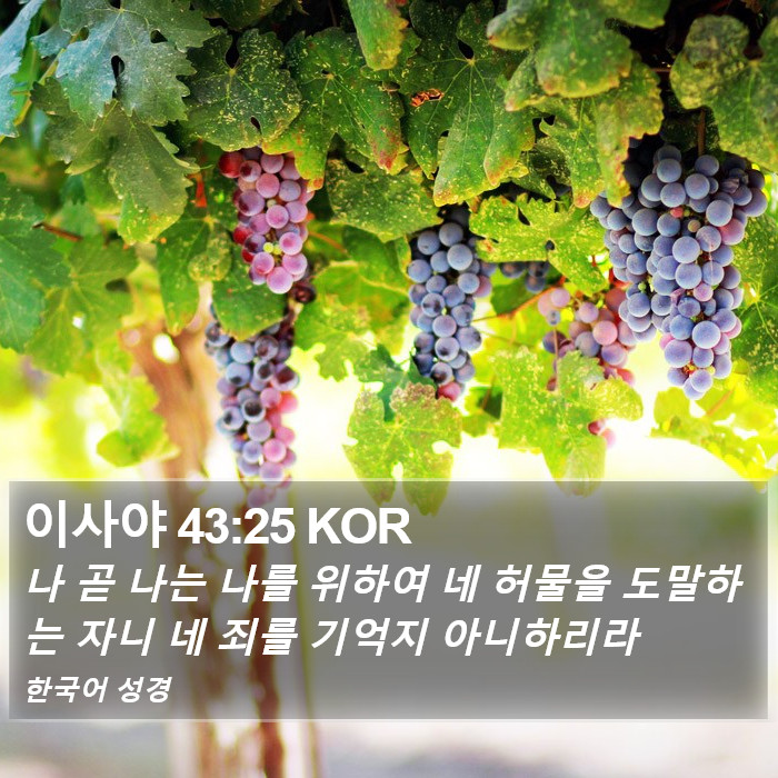 이사야 43:25 KOR Bible Study