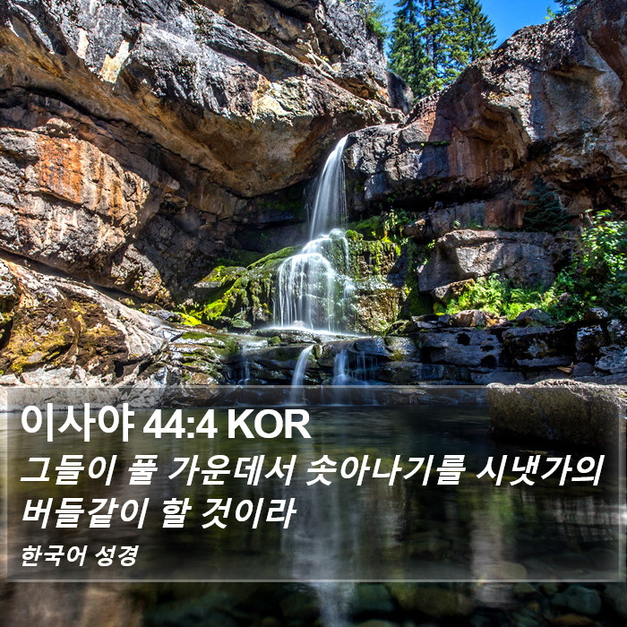 이사야 44:4 KOR Bible Study