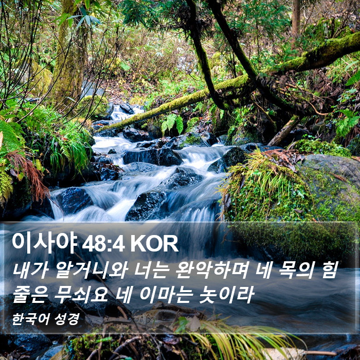 이사야 48:4 KOR Bible Study