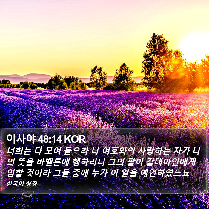 이사야 48:14 KOR Bible Study