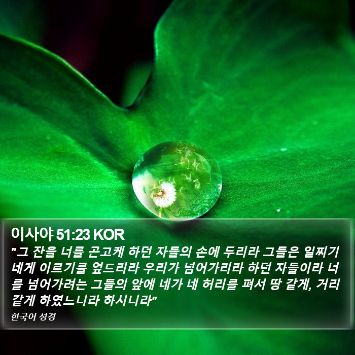 이사야 51:23 KOR Bible Study