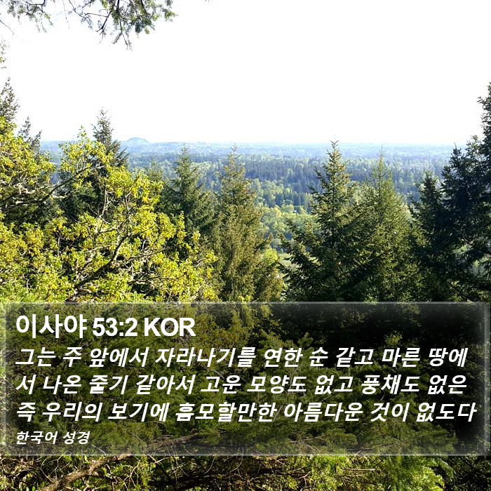 이사야 53:2 KOR Bible Study