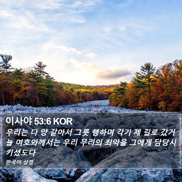 이사야 53:6 KOR Bible Study