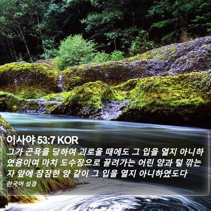 이사야 53:7 KOR Bible Study