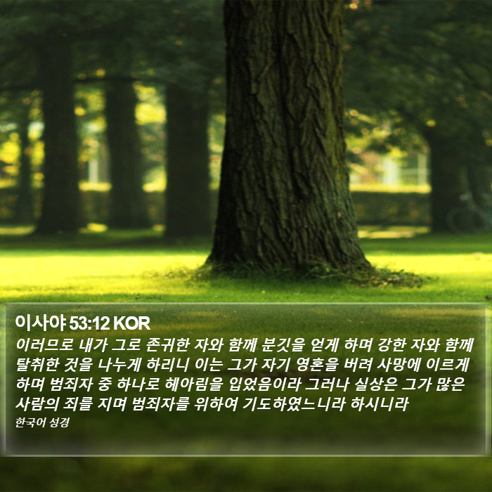 이사야 53:12 KOR Bible Study