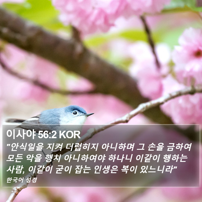 이사야 56:2 KOR Bible Study