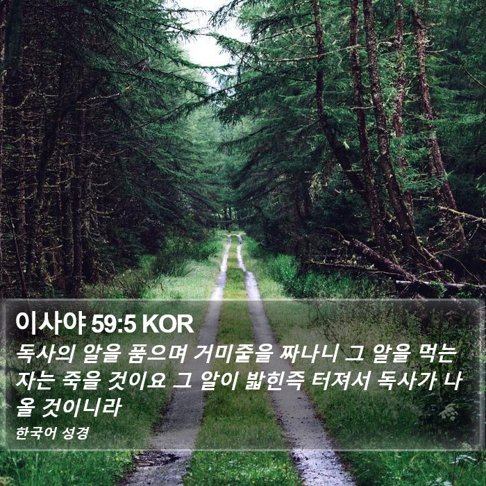 이사야 59:5 KOR Bible Study