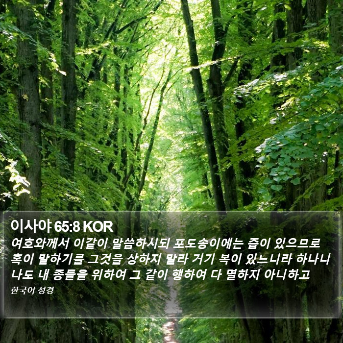 이사야 65:8 KOR Bible Study