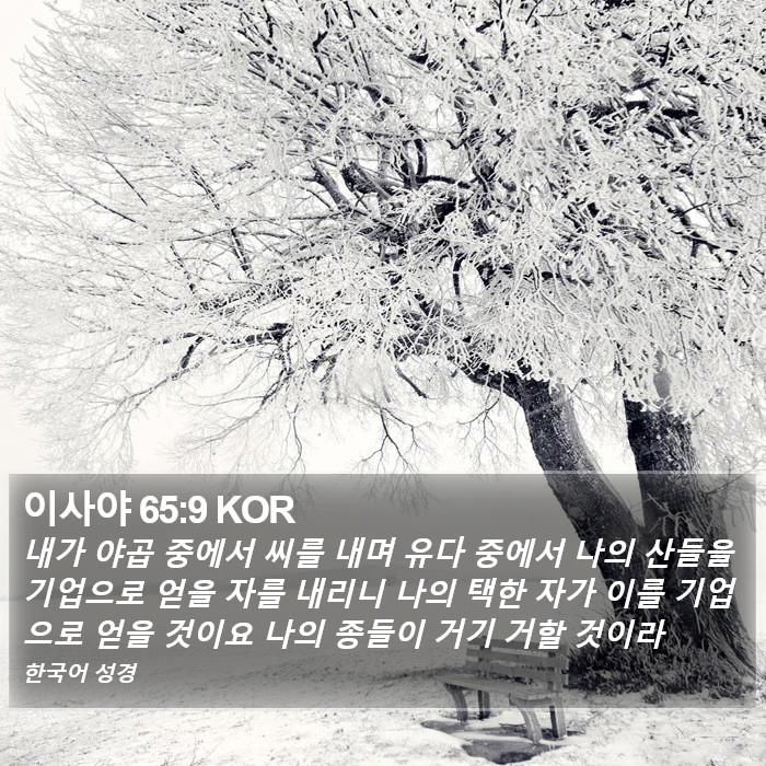 이사야 65:9 KOR Bible Study