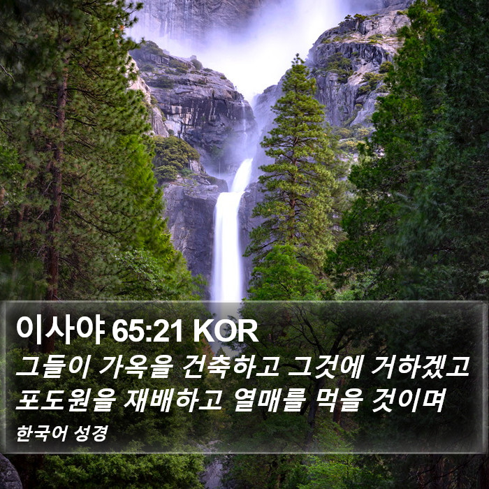 이사야 65:21 KOR Bible Study