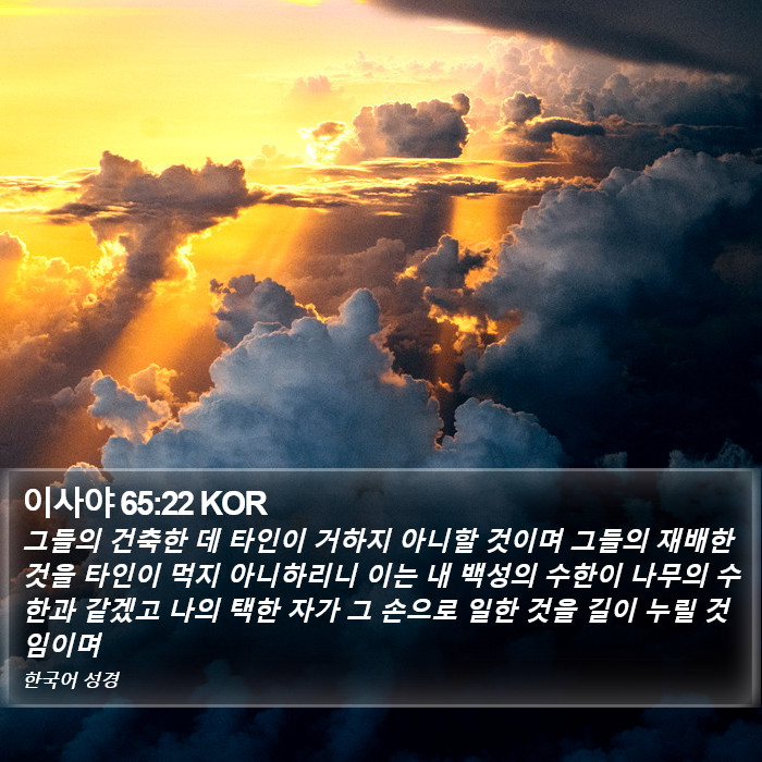 이사야 65:22 KOR Bible Study