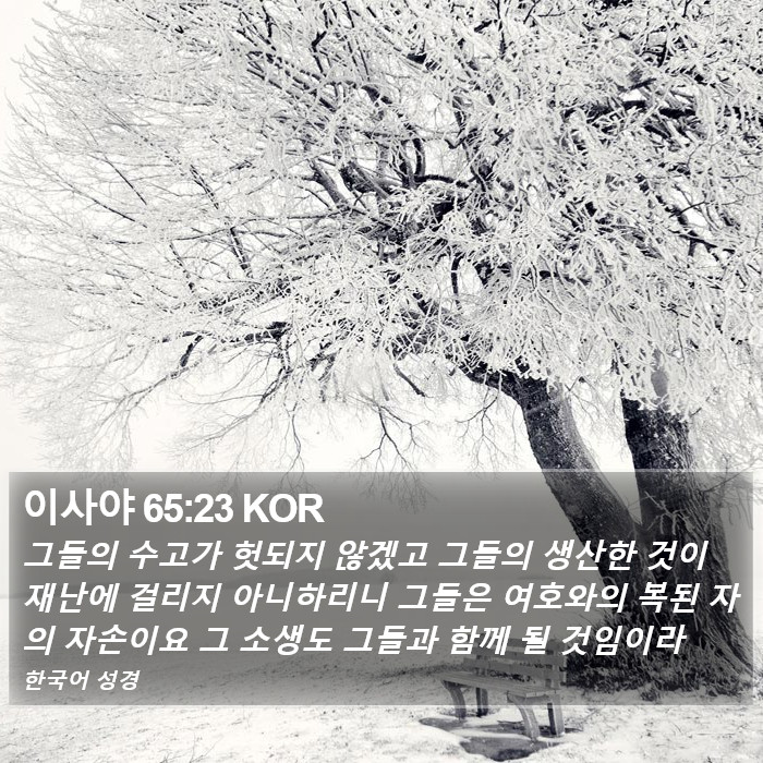 이사야 65:23 KOR Bible Study