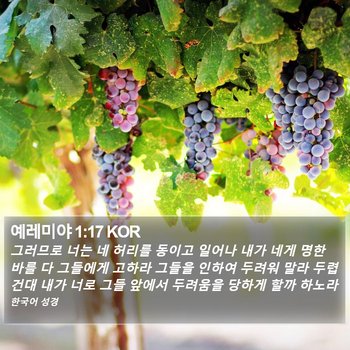 예레미야 1:17 KOR Bible Study