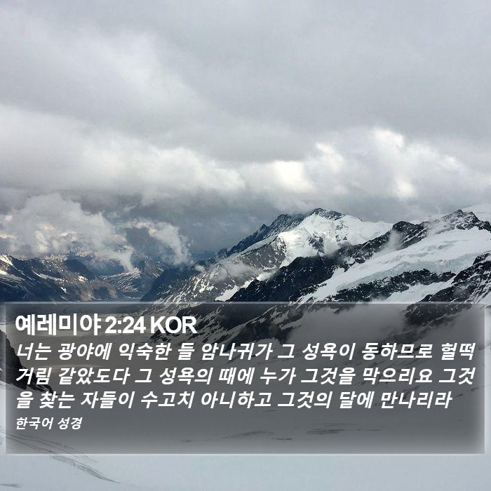 예레미야 2:24 KOR Bible Study