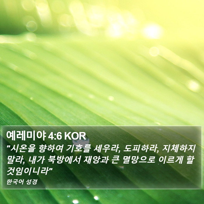 예레미야 4:6 KOR Bible Study