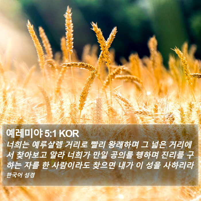 예레미야 5:1 KOR Bible Study