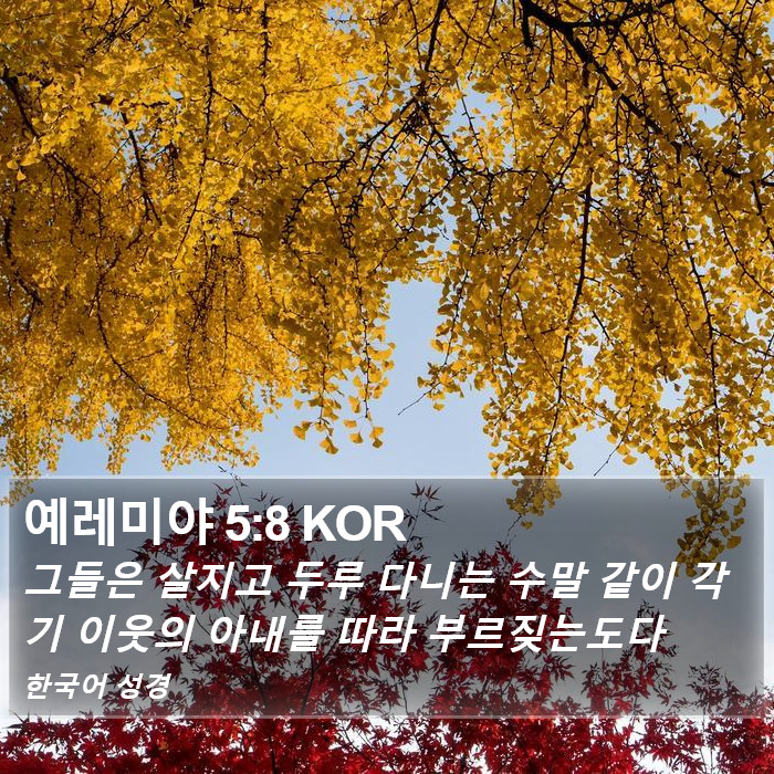 예레미야 5:8 KOR Bible Study