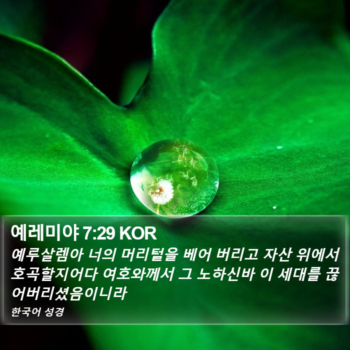 예레미야 7:29 KOR Bible Study