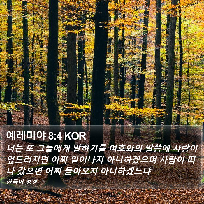 예레미야 8:4 KOR Bible Study