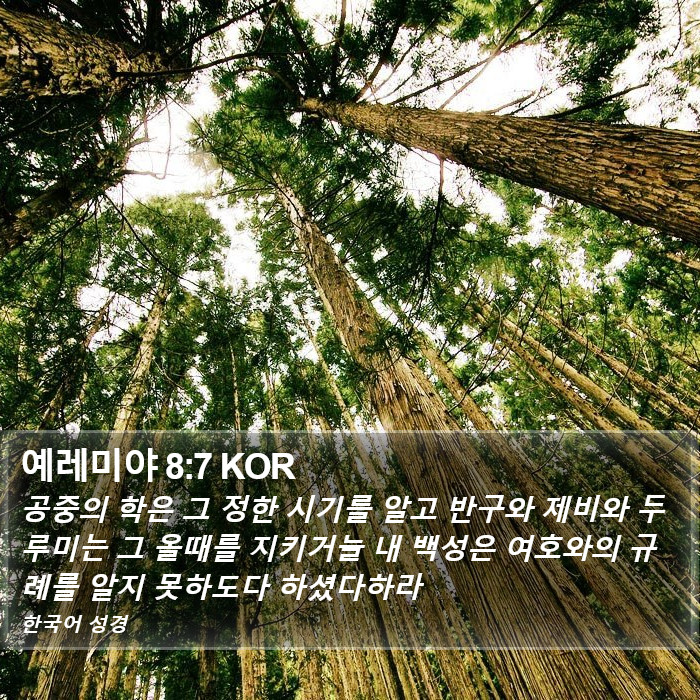 예레미야 8:7 KOR Bible Study