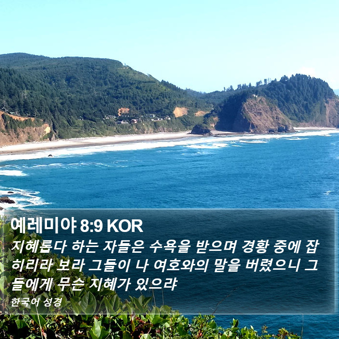 예레미야 8:9 KOR Bible Study
