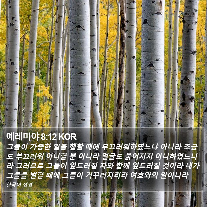 예레미야 8:12 KOR Bible Study