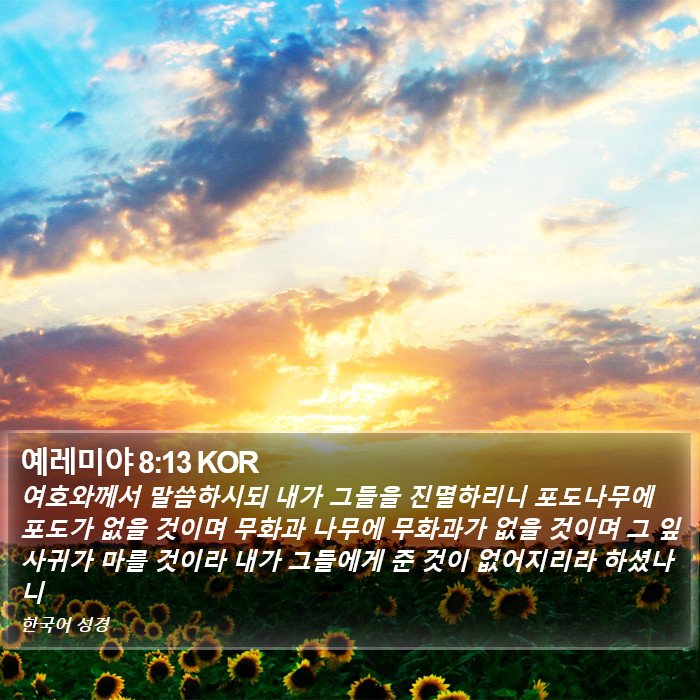 예레미야 8:13 KOR Bible Study