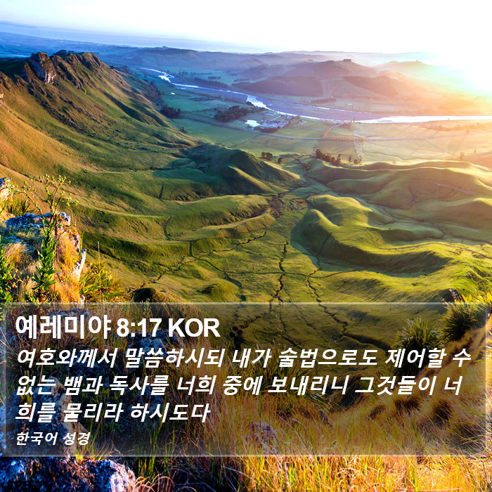 예레미야 8:17 KOR Bible Study