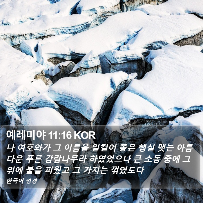 예레미야 11:16 KOR Bible Study