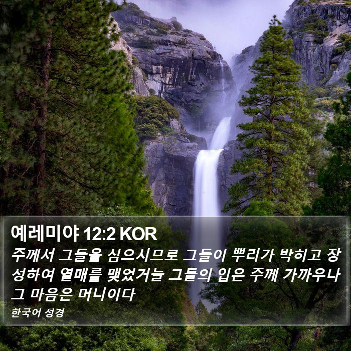 예레미야 12:2 KOR Bible Study