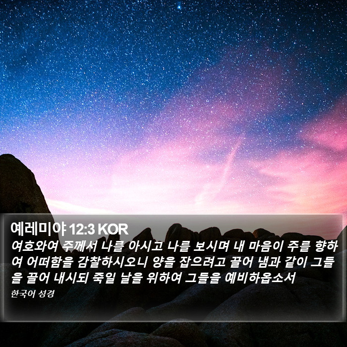 예레미야 12:3 KOR Bible Study