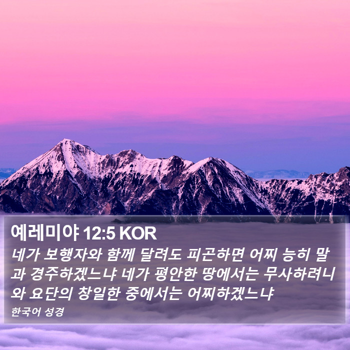 예레미야 12:5 KOR Bible Study