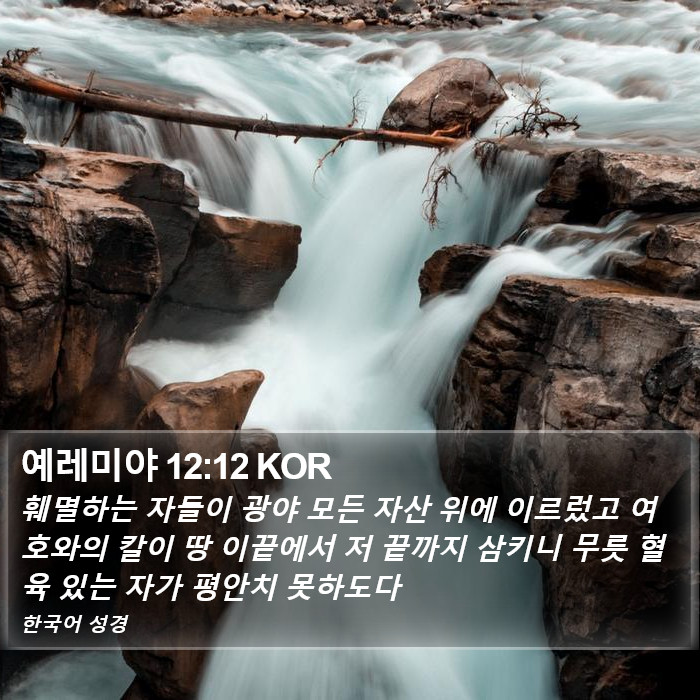 예레미야 12:12 KOR Bible Study