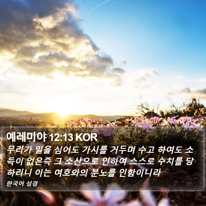 예레미야 12:13 KOR Bible Study