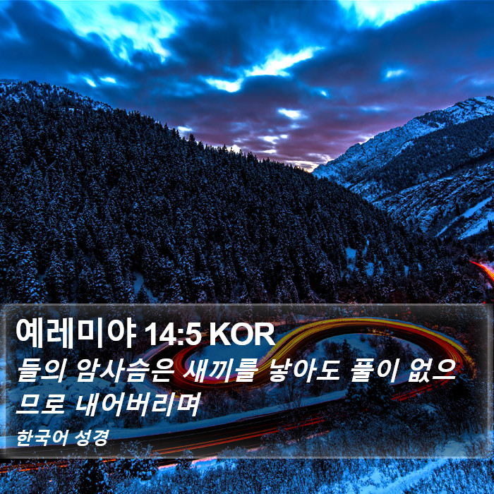 예레미야 14:5 KOR Bible Study