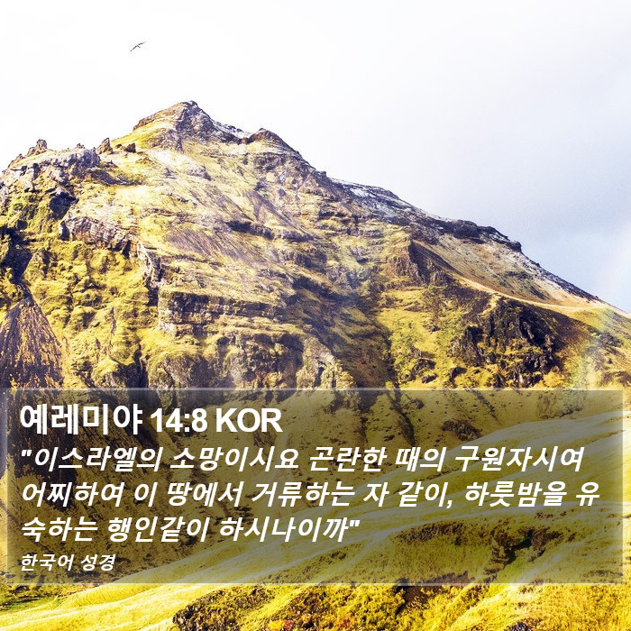 예레미야 14:8 KOR Bible Study