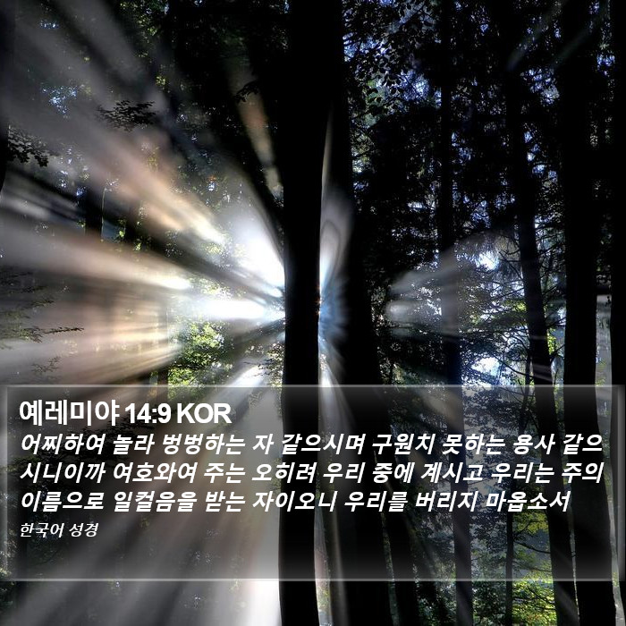 예레미야 14:9 KOR Bible Study