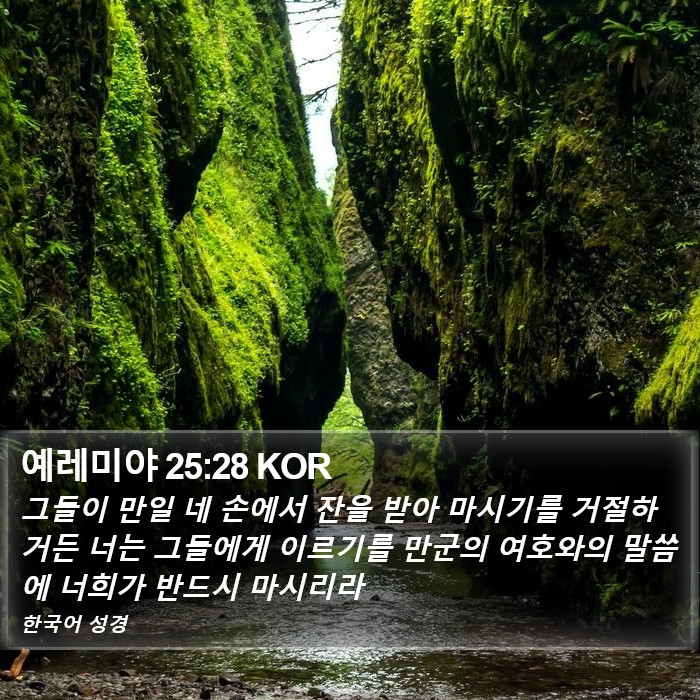 예레미야 25:28 KOR Bible Study