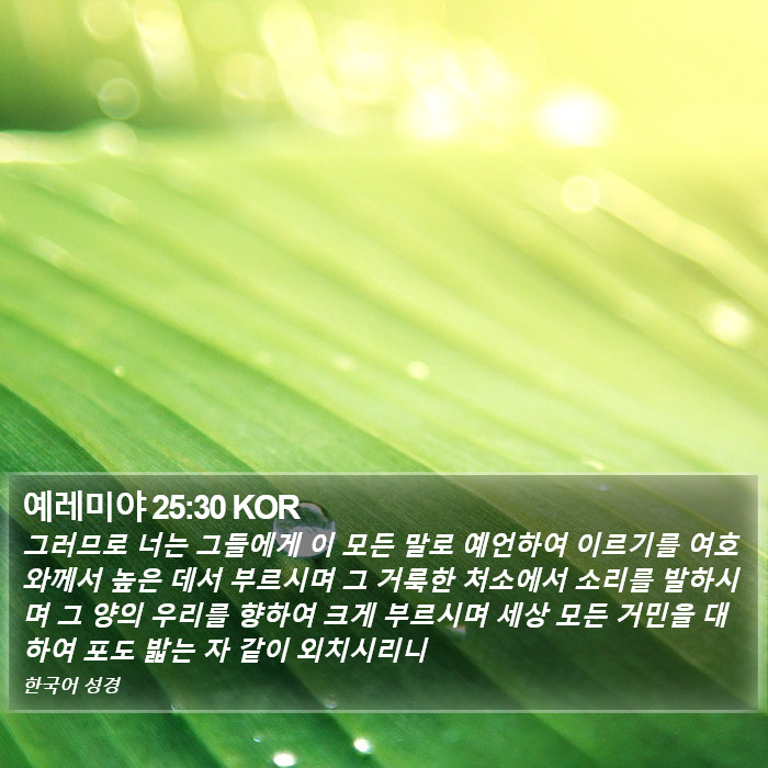 예레미야 25:30 KOR Bible Study