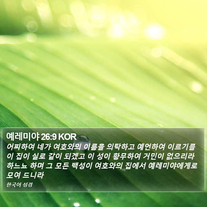 예레미야 26:9 KOR Bible Study