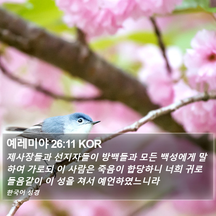 예레미야 26:11 KOR Bible Study