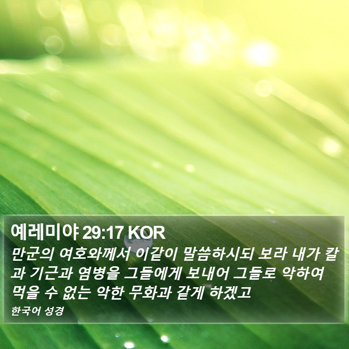 예레미야 29:17 KOR Bible Study