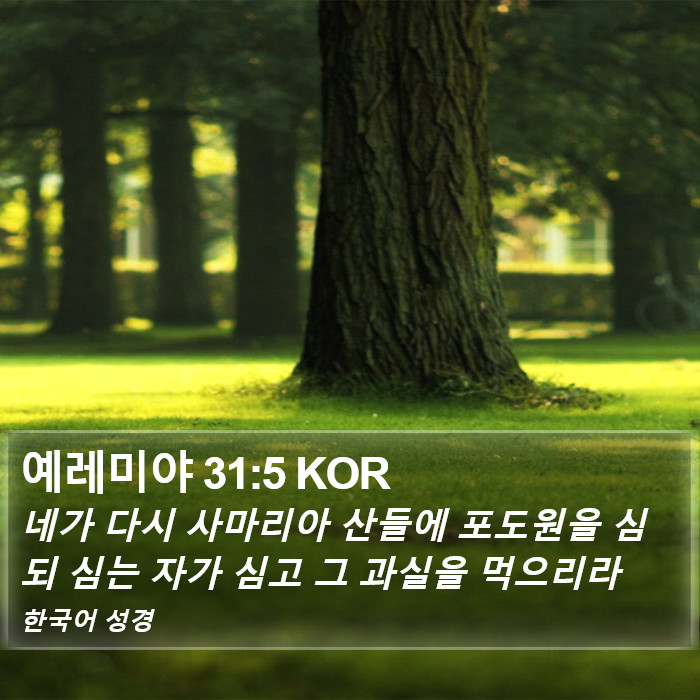 예레미야 31:5 KOR Bible Study