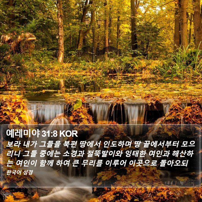 예레미야 31:8 KOR Bible Study