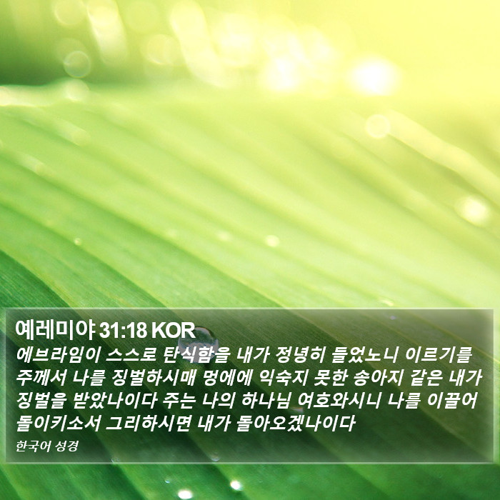 예레미야 31:18 KOR Bible Study