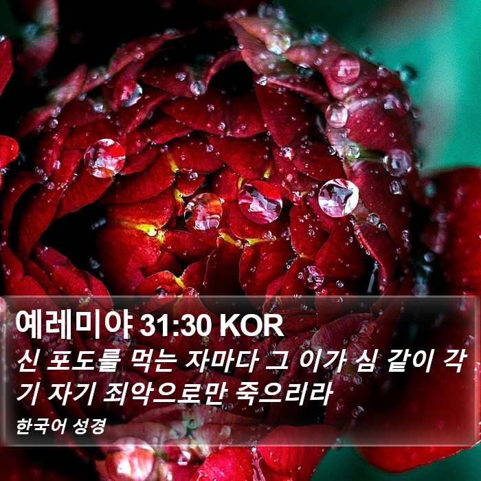 예레미야 31:30 KOR Bible Study