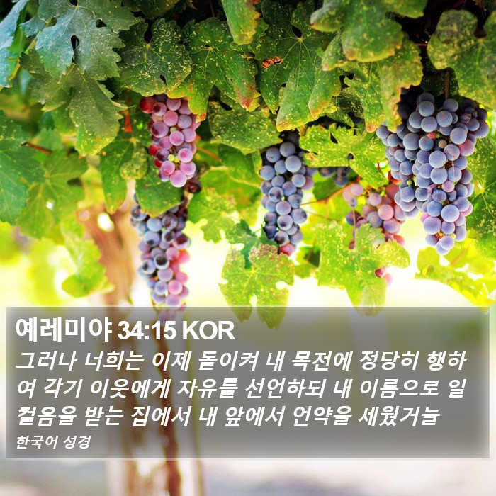 예레미야 34:15 KOR Bible Study